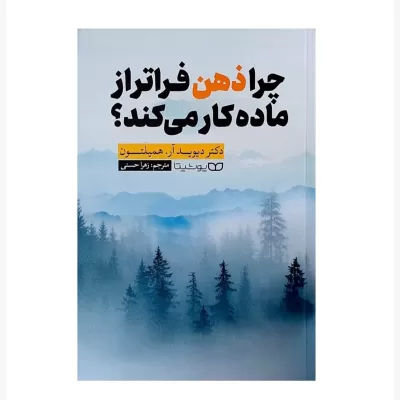چرا ذهن فراتر از ماده کار می کند؟ اثر دکتر دیوید آر . همیلتون