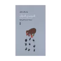 قدرت بی قدرتان اثر واتسلاف هاول
