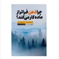 چرا ذهن فراتر از ماده کار می کند؟ اثر دکتر دیوید آر . همیلتون